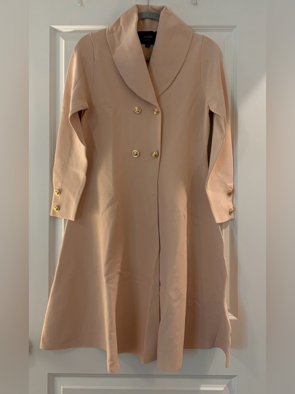 ALEEZA Paris Double Breast Dress in Blush